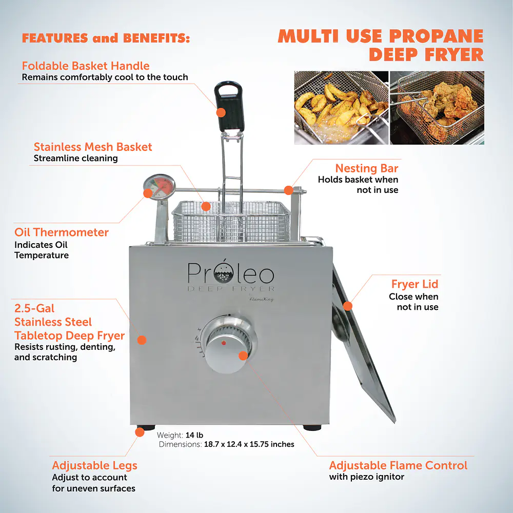 Portable Propane Deep Fryer - Master