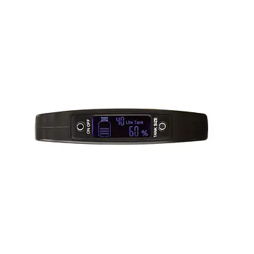 Gauge Scale with Digital Indicator - Master