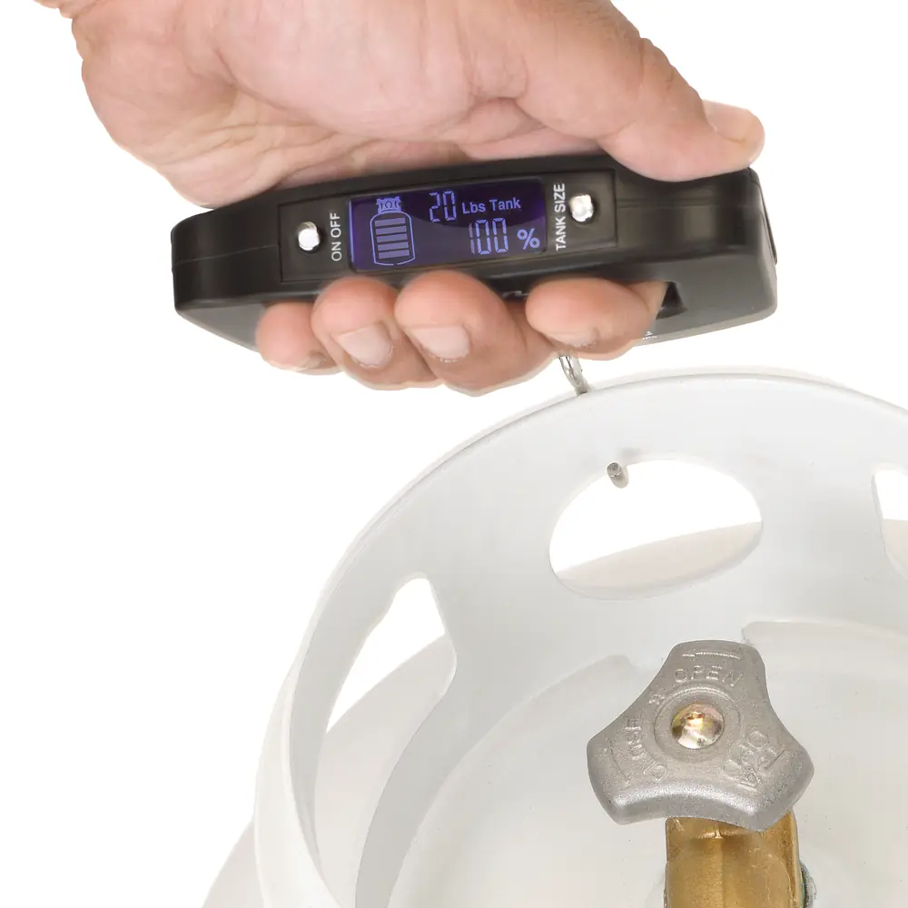 Gauge Scale with Digital Indicator - Master