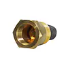 239# Relief Valve w/o Dust Cap - Master