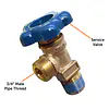 239# Vapor Valve - Master